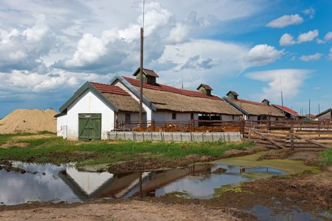 Farmstead