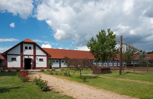 Mata Stud Farm