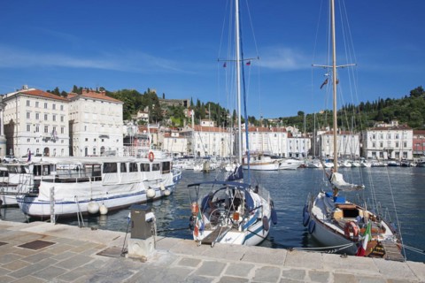 Harbour with a view of the city walls