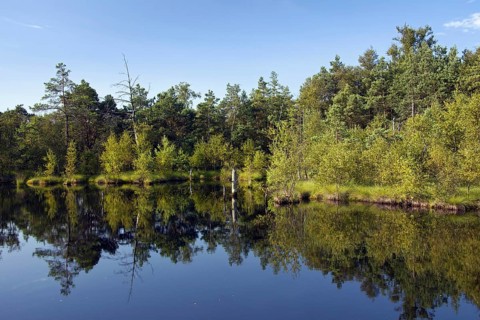 Pietzmoor