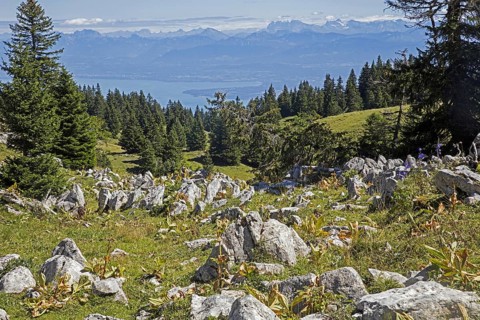 View from La Dole