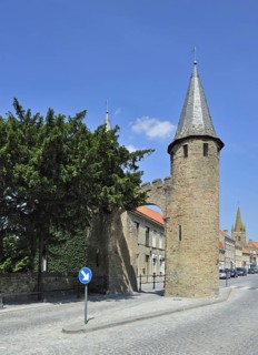 Caesar's tree
