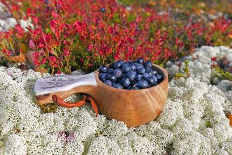Traditional Scandinavian cup