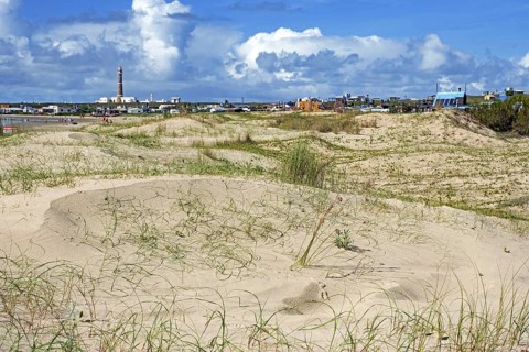 View over the sand dunes