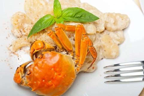 Fresh homemade Italian gnocchi with seafood sauce crab and basil