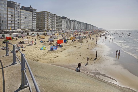 Sunbathers in summer sunbathing behind parasols and windbreaks on beach along the North Sea coast at Belgian seaside resort