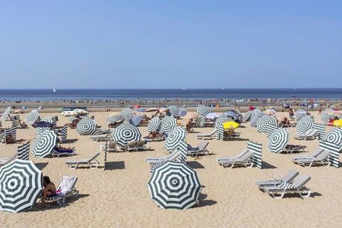 Sunbathers in relax chairs under parasols on the beach at seaside resort along the Belgian North Sea coast during heat wave in summer in Belgium