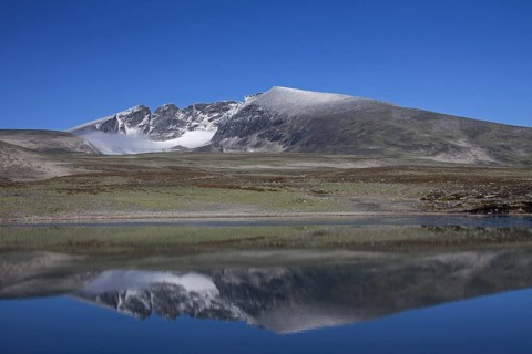 Snohetta