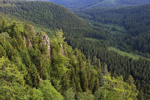 Hahnenkleeklippen