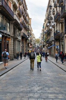 Pedestrians in pedestrian zone