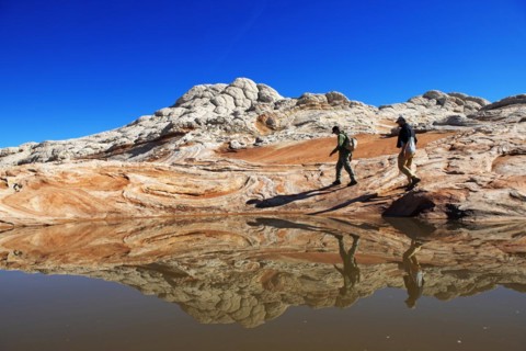 Hiker in White Pocket Canyon