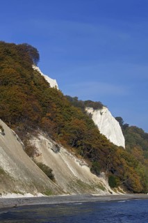 Chalk cliffs at Koenigsstuhl