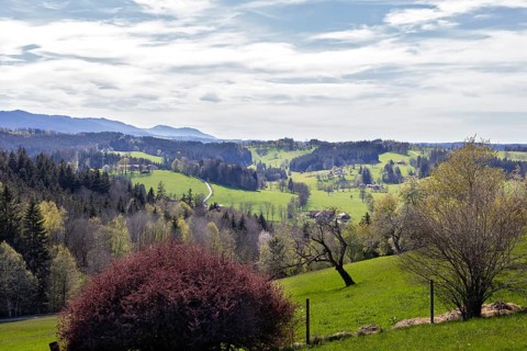 Near Hausham
