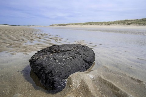 Black chunk of turf from exposed peat layer on the seabed washed ashore on sand beach along the North Sea coast