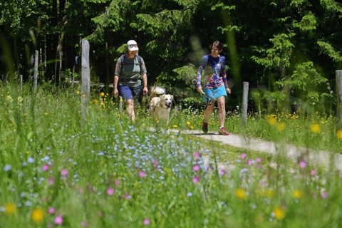 Herb hiking guide