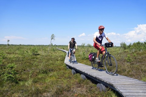 Cyclists on the Aukstumala Cognitive Path