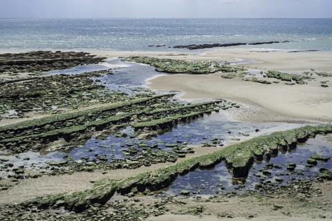 Jurassic rock layers exposed at low tide on the beach at Ambleteuse along rocky North Sea coast