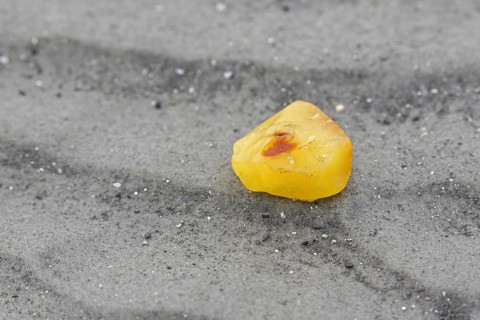 Amber nugget