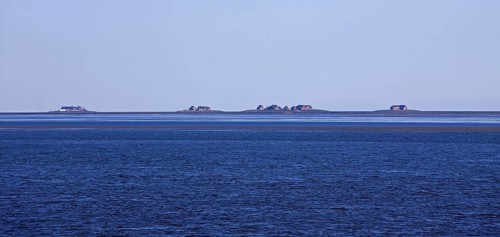 Houses on terps on the halligen islands Langeness