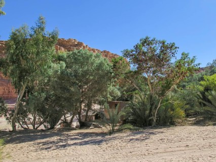Oasis Ein Hudra