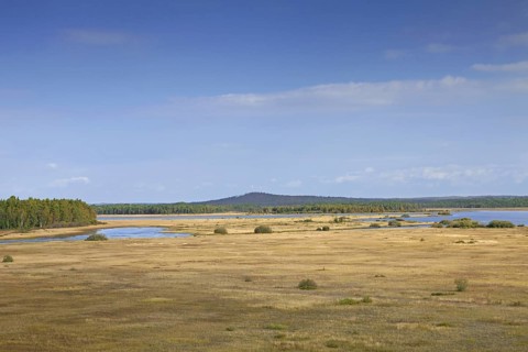 View over the Store Mosse Nationalpark
