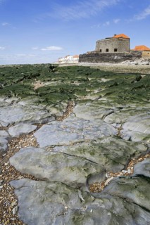 Jurassic rock layers exposed at low tide and Fort Mahon at Ambleteuse along rocky North Sea coast