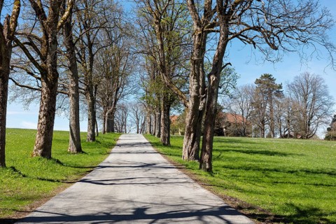 Small road