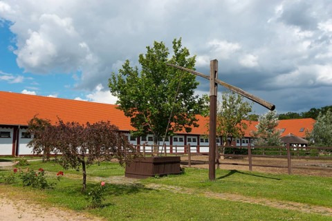 Mata Stud Farm