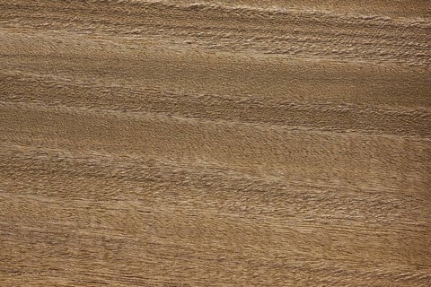 Wood grain of the hardwood Pericopsis elata