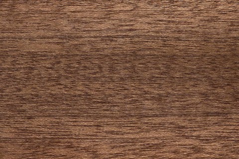 Wood grain of Sapele