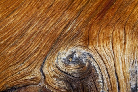 Swiss pine