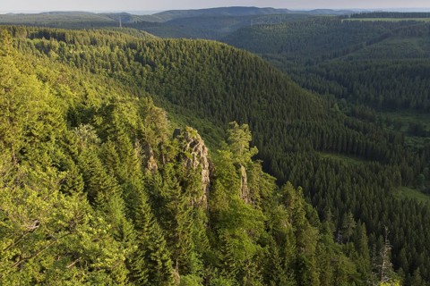 Hahnenkleeklippen