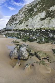 The white chalk cliffs and rocks covered in seaweed at low tide at Cap Blanc Nez