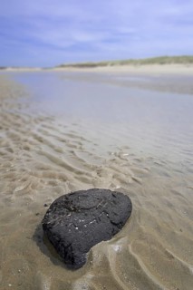 Black chunk of turf from exposed peat layer on the seabed washed ashore on sand beach along the North Sea coast