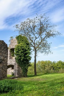 The Hohentwiel fortress ruins
