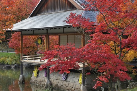 Pavilion