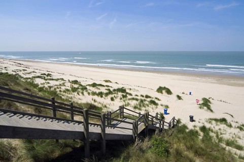 Nature reserve De Fonteintjes in the dunes between Blankenberge and Zeebrugge along the North Sea coast