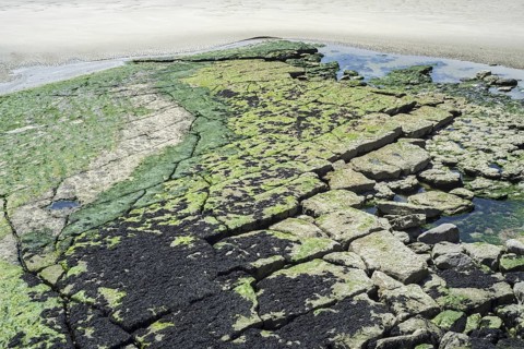 Broken Jurassic rock layer exposed at low tide on the beach at Ambleteuse along rocky North Sea coast