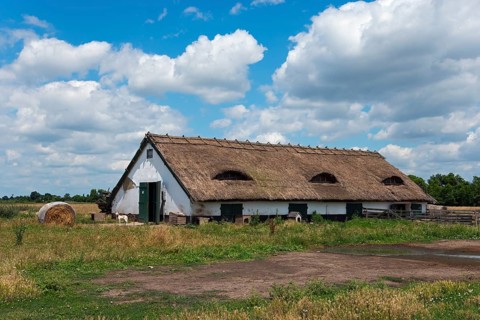 Farmstead