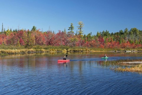 Two canoeists paddling in colourful canoes past trees in autumn colours in New England