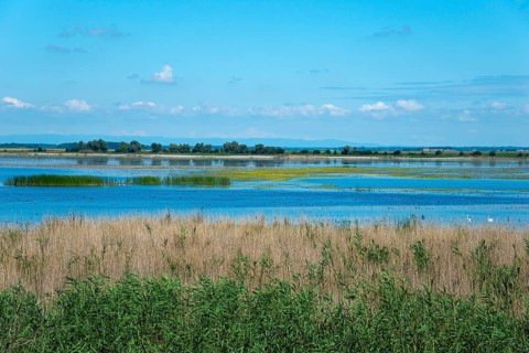 Hortobagy Fish Ponds