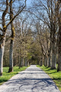 Small road