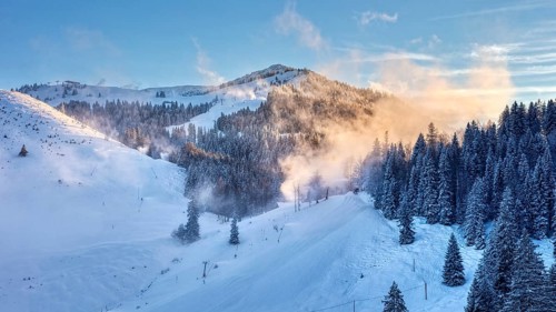 Fresh snow