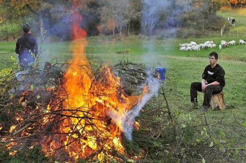 Working youngsters making huge fire by burning prunings