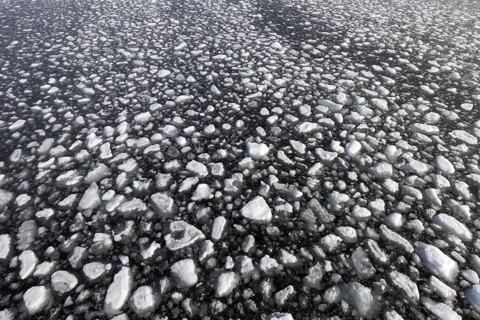 Drift ice