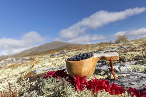 Traditional Scandinavian cup