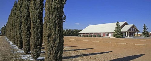 Ttraditional Mennonite dairy farm of Mennonites living in Cuauhtemoc