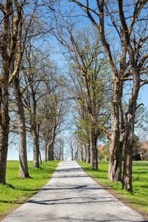 Small road