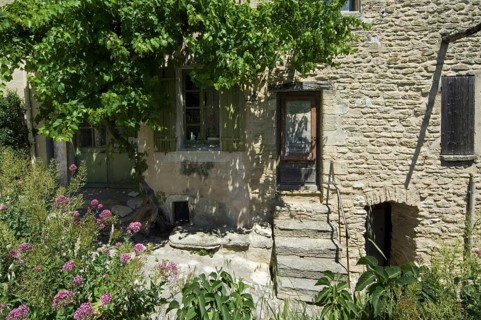 Grapevine growing on house front in alley of the village Gordes in the Vaucluse
