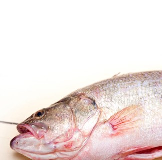Fresh whole raw fish on a wooden table ready to cook
